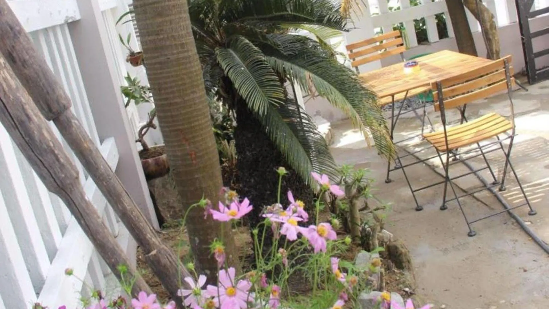 Little House Homestay Hội An